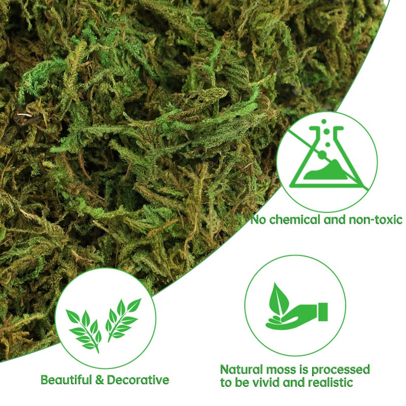 YUNVI 35 OZ Large Capacity Artificial Moss for Potted Plants Natural Artificial Moss Grass for Fake Plants Indoor Craft Moss and Greenery Bulk Forest Moss for Hamsters(Fresh Green) - Image 3